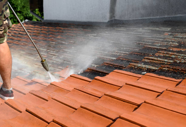 Best Power Washing Near Me  in Palmview, TX