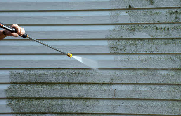 Best Deck Pressure Washing  in Palmview, TX