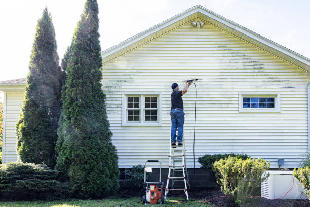Best Exterior Home Cleaning  in Palmview, TX