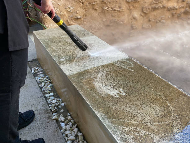 Best Residential Pressure Washing Services  in Palmview, TX