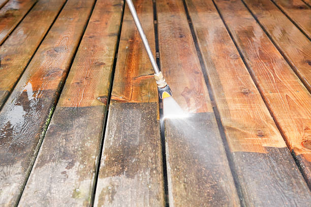 Best Roof Power Washing Services  in Palmview, TX