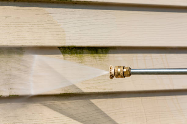 Best Affordable Power Washing  in Palmview, TX